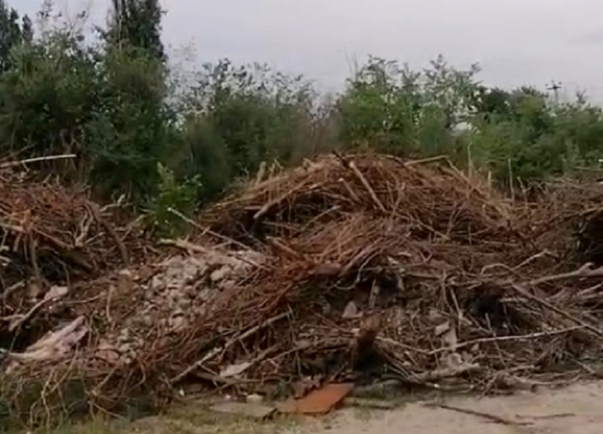 В Цимлянск приезжали из минприроды Ростовской области: кому-то не повезло