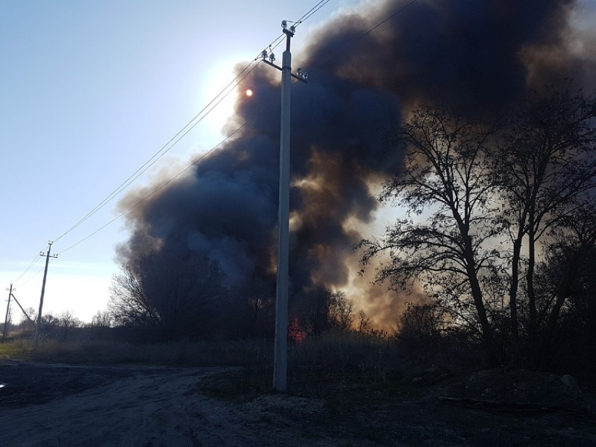 В лесах Волгодонска объявили пожароопасный сезон