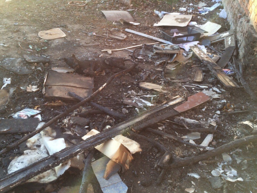 В Волгодонске возле МИФИ заживо сожгли собаку