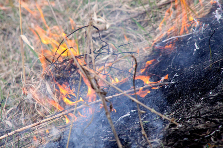 Сжигать сухую растительность во время весенних субботников запрещено законом