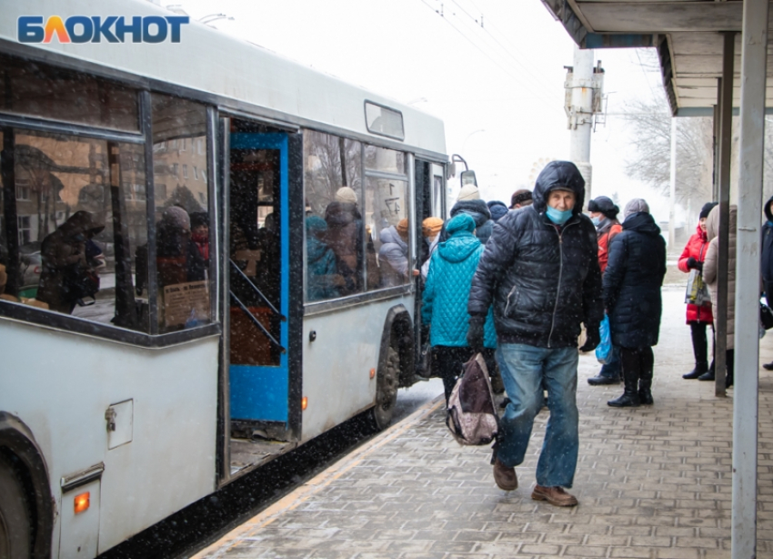 Льготный проезд ветеранам труда в Волгодонске могут вернуть в заявительном характере