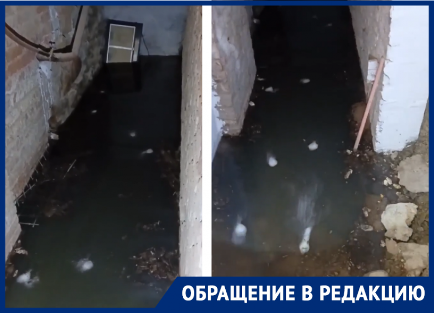 Жители дома 34 переулка Донской задыхаются от фекальной вони в подвале