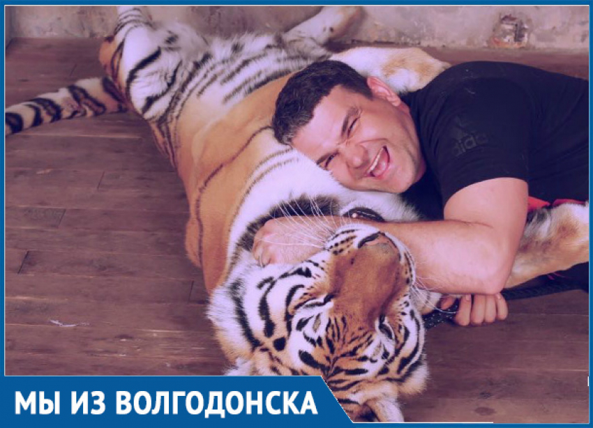 Тигры ничем не отличаются от домашних кошек,-Михаил Зарецкий 