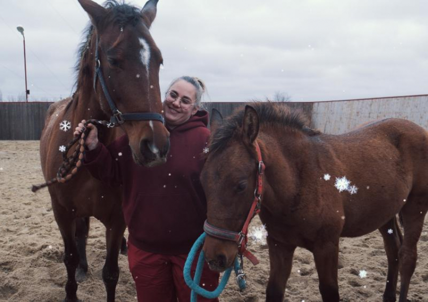 Личный парикмахер, массажист и стоматолог: как живет испанская кобылка-миллионер в Волгодонске