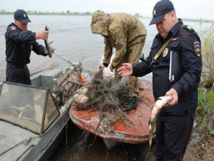 Кражу на сумму 200 000 рублей на берегу Дона под покровом ночи раскрыли волгодонские полицейские
