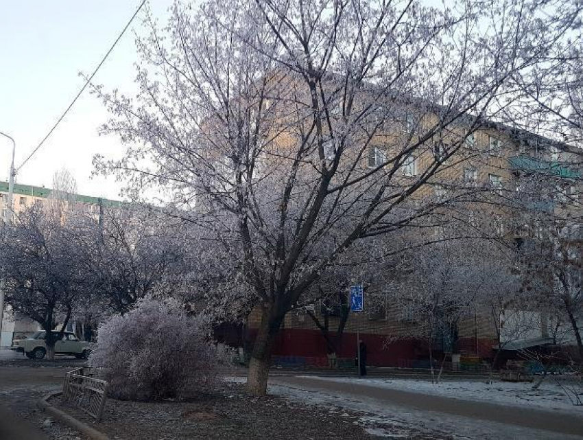 Морозно и ветрено будет сегодня в Волгодонске