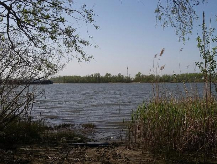 Волгодонск лишился особо охраняемой природной зоны в Год экологии