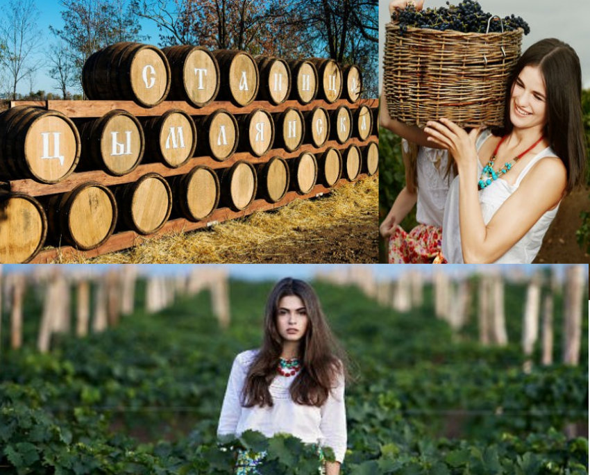 «Станица Цымлянская» приглашает на дегустацию продукции донских виноградарей