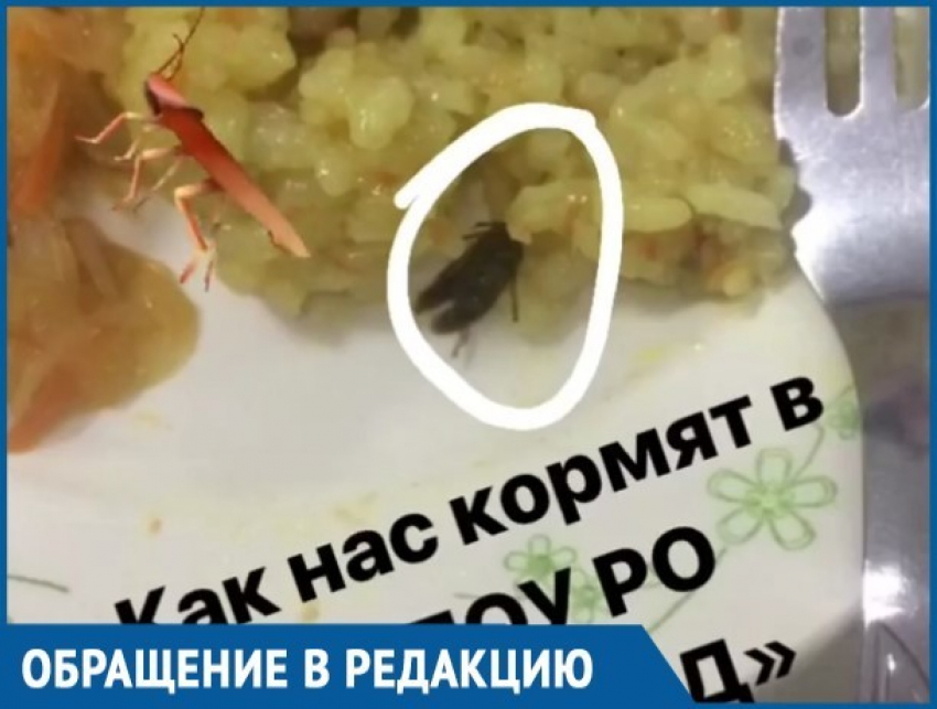 Студенты техникума ВТИТБиД пожаловались на тараканов в еде из столовой