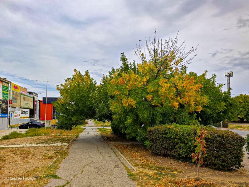 Сегодня в Волгодонске будет солнечно