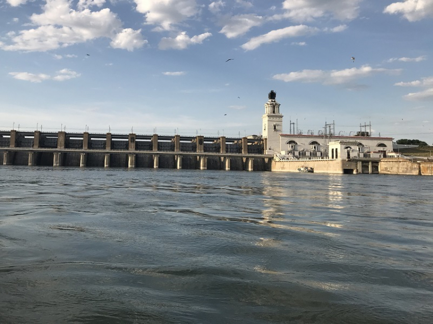 Массовая гибель рыбы на Дону в Волгодонске может быть связана с Цимлянской ГЭС