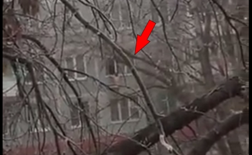 В Волгодонске голый мужчина, забравшийся в окно 2-ого этажа, попал в объектив видеокамеры 