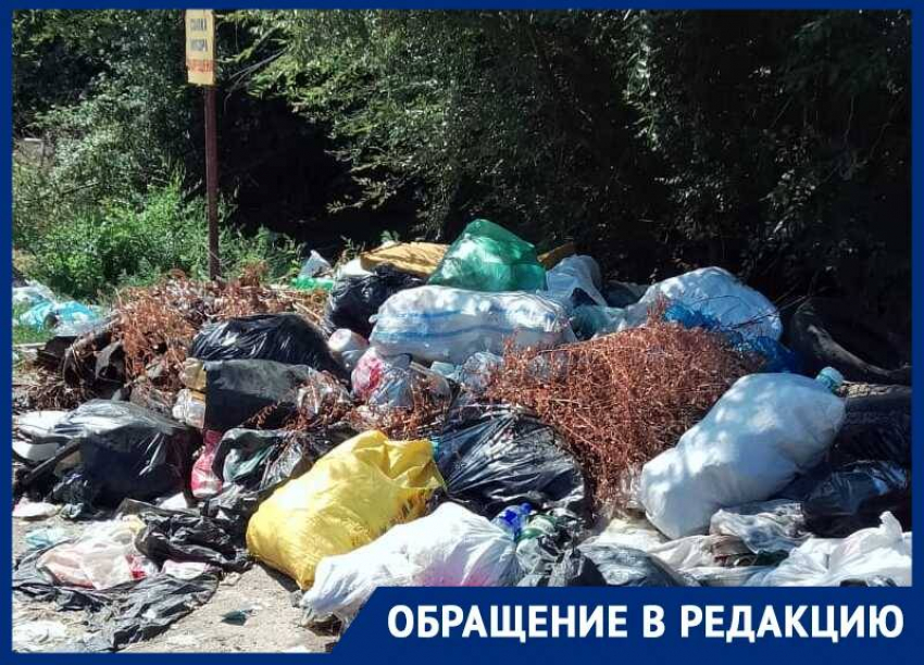 Мусорный коллапс на улице Отдыха: жители Волгодонска требуют немедленного решения проблемы