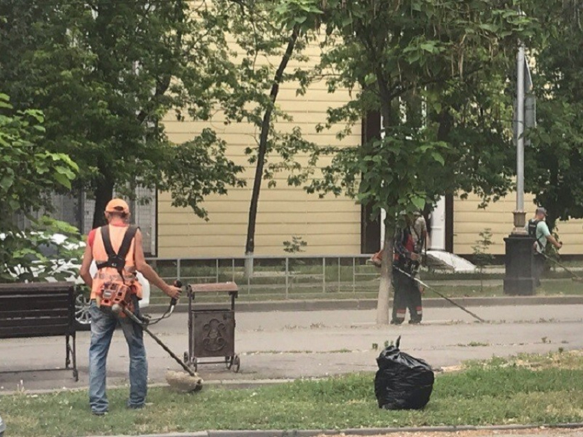 В Волгодонске появятся муниципальные косари