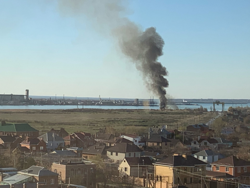 Сухой тростник загорелся в районе спецпричала в Волгодонске 