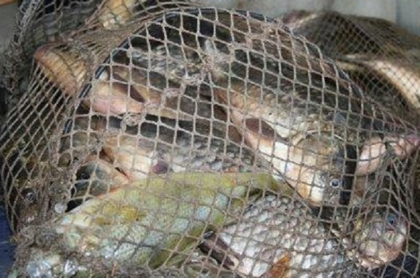 В Цимлянском водохранилище поймали браконьера с сетями и рыбой