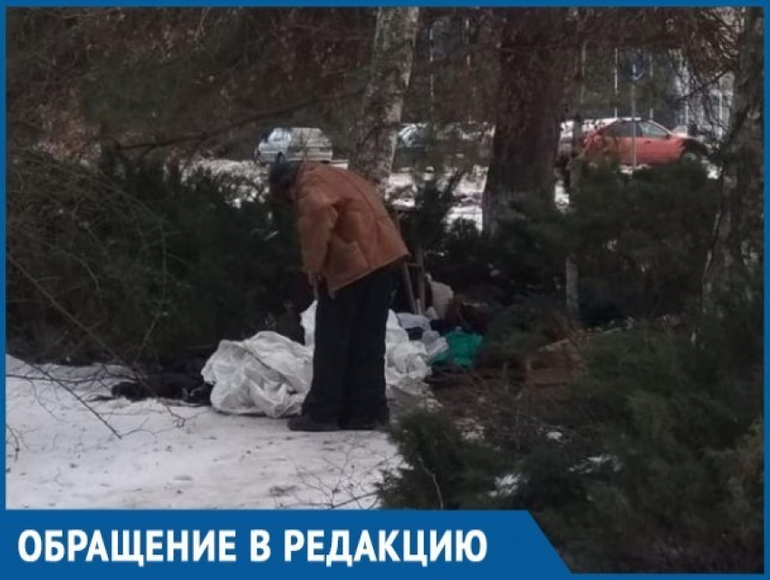 Агрессивные бомжи в состоянии алкогольного опьянения оборудовали дом в кустах, - волгодонцы