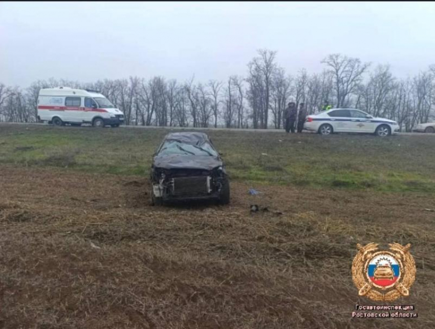 Пожилой водитель не справился с управлением и погиб в ДТП в Зимовниковском районе 