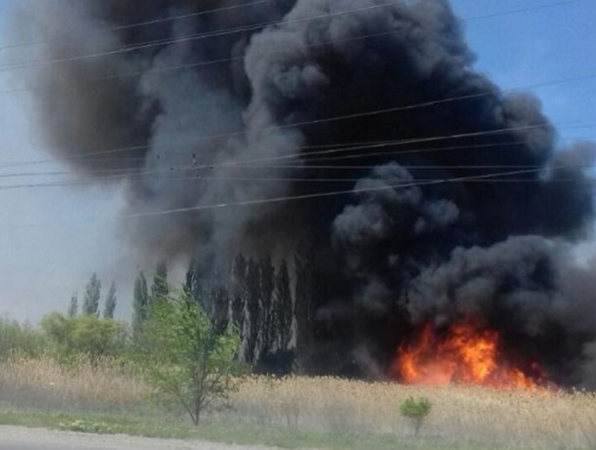 Сильный пожар охватил поле возле Жуковского шоссе в Волгодонске