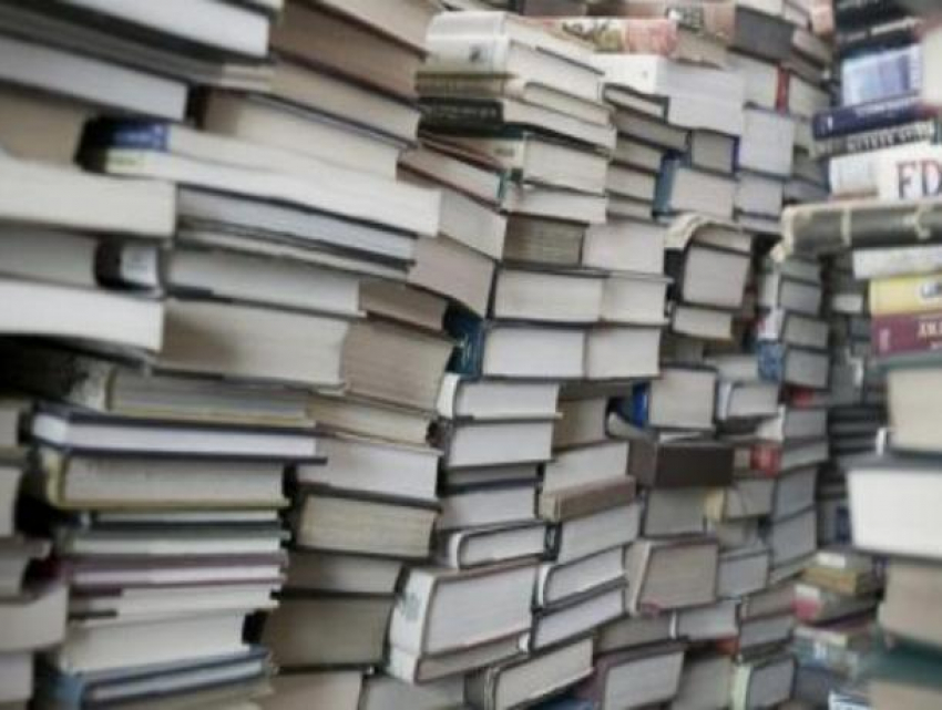 День знаний без учебников: Родители учеников начальных классов пожаловались на отсутствие учебной литературы в школах Волгодонска