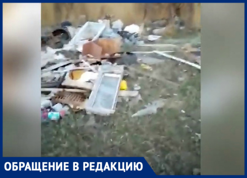 «Горы мусора и мертвый скот»: люди показали стихийные свалки в Волгодонском районе 