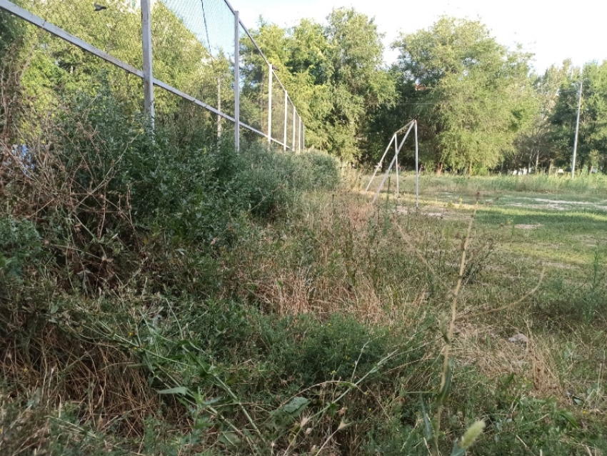 Волгодонск вошел в число городов, где выявили наибольшее число нарушений, связанных с покосом травы