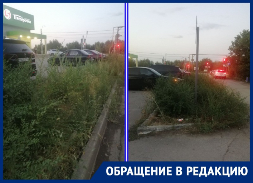 «Когда был магазин «Артемида» на клумбах цвели розы»: жительница Красного Яра вспоминает лучшие годы из жизни клумбы