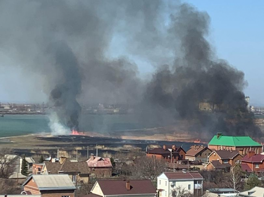 Все под контролем: камыш на заливе в Волгодонске выжигают организованно