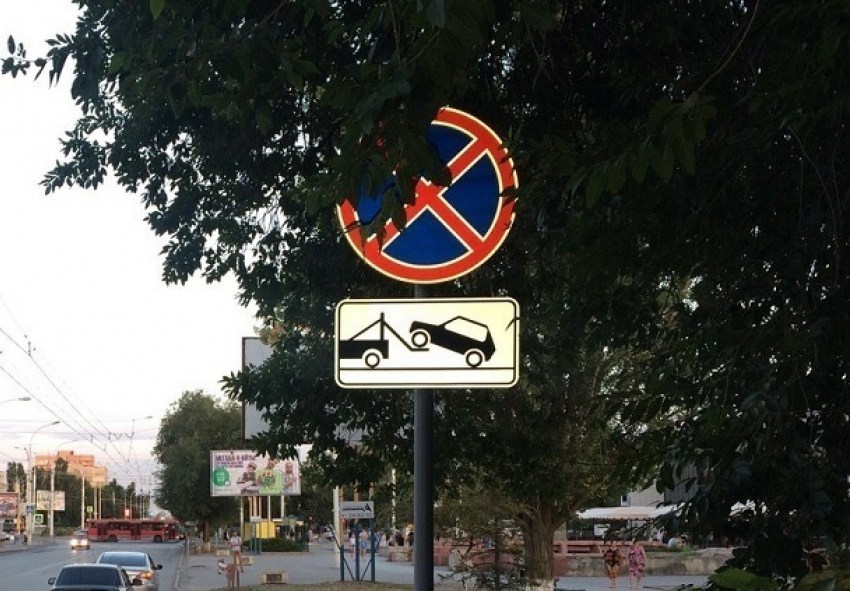 «Ловушка для водителей»: знак, запрещающий стоянку, спрятан за деревом