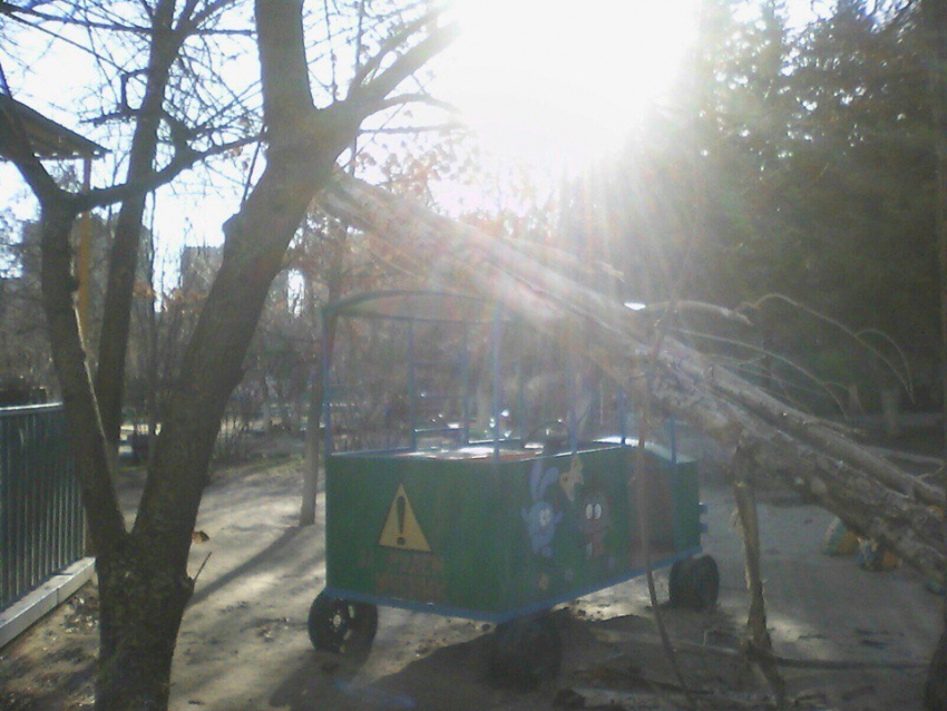  В Волгодонске дерево упало на игрушечный паровозик со Смешариками в детском саду