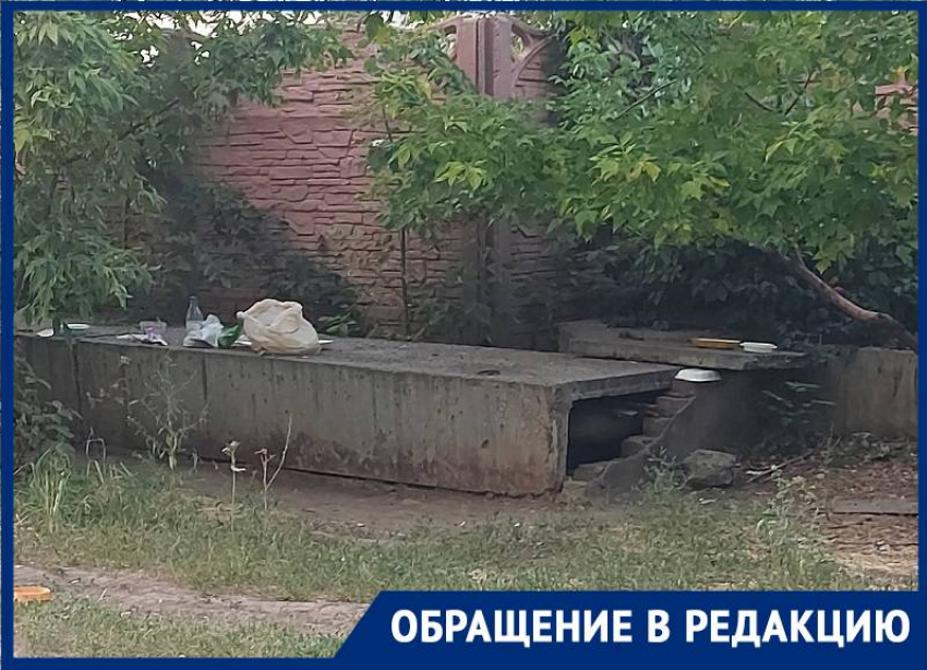 Котокормилица развела во дворе многоэтажки жуткую антисанитарию 