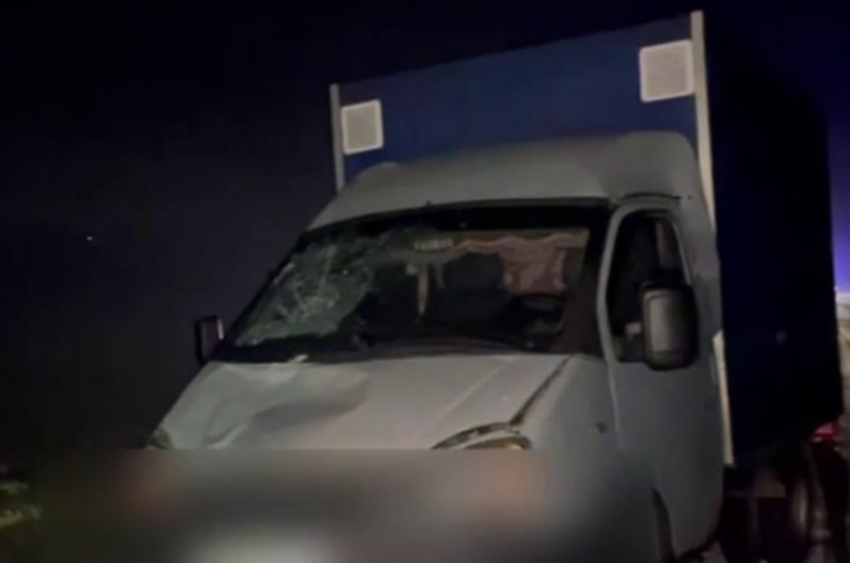 «Газель» сбила насмерть пешехода на трассе Ростов-Волгодонск