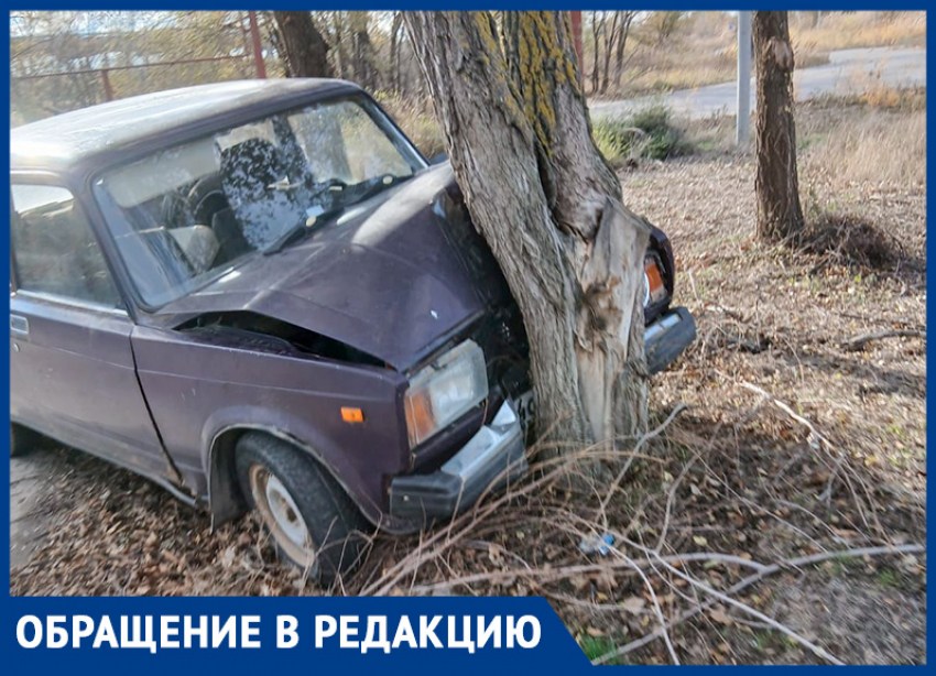 Машина в дереве: горожанка просит отозваться владельца железного коня 