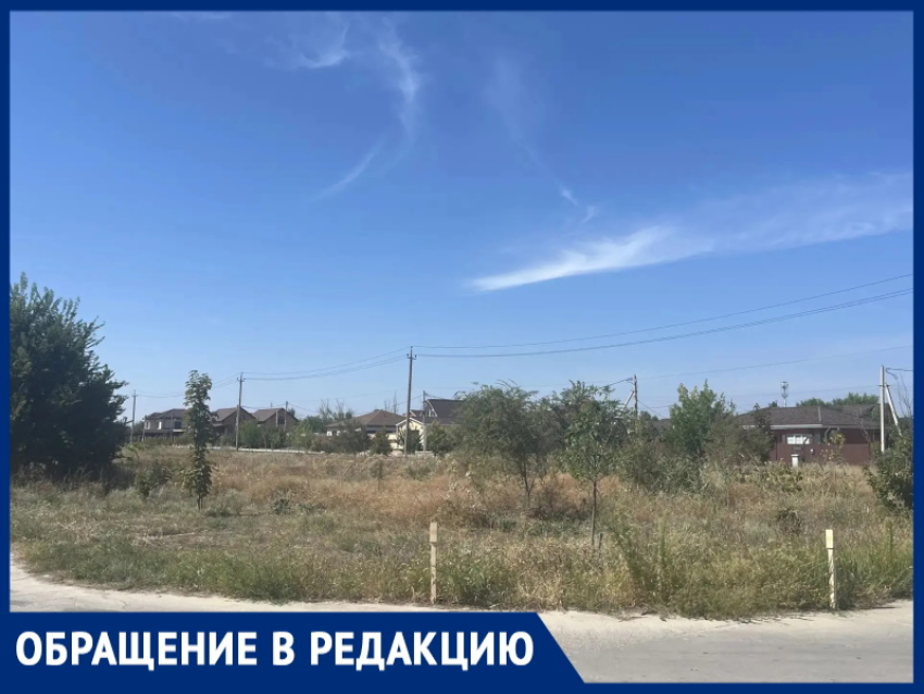 «Город Счастья» превращается в джунгли: жители микрорайона утопают в траве