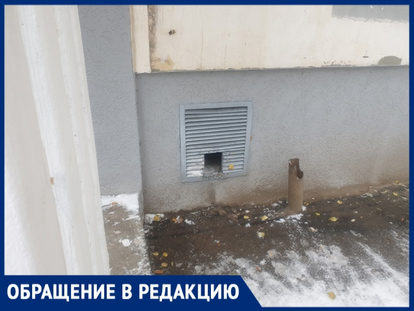 «Остановите убийство кошек в Волгодонске»: пенсионерка борется за гарантированный доступ животных в подвалы МКД