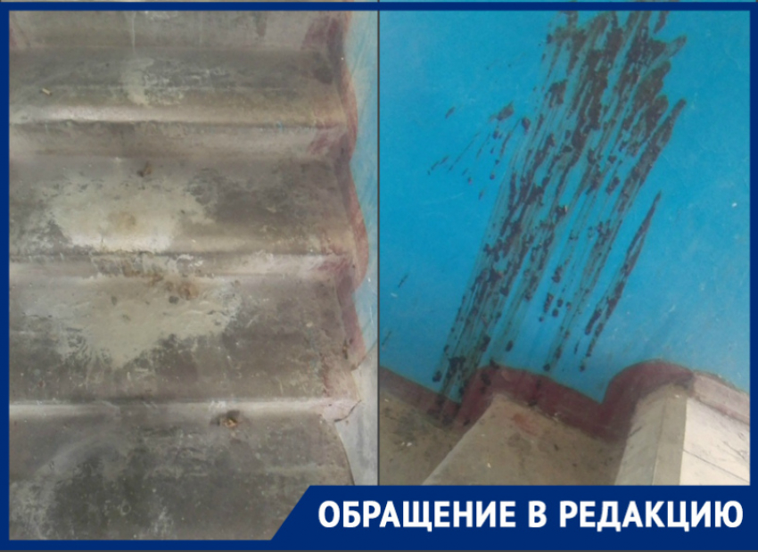Волгодонцы месяцами вынуждены терпеть грязь и неприятный запах в подъезде на Ленина 