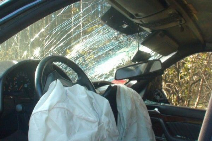 В Зимовниковском районе иномарка вылетела с трассы и врезалась в дерево - пострадал 14-летний подросток
