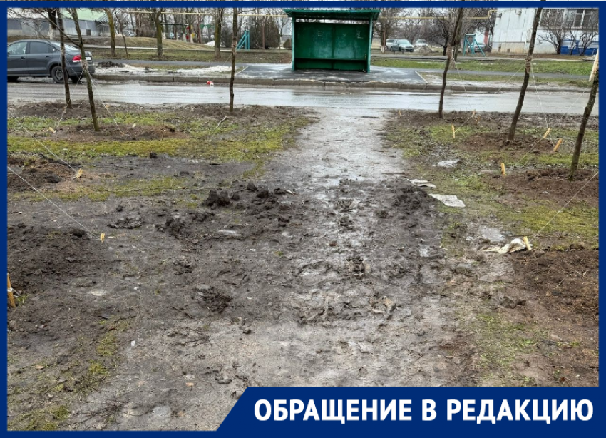 «Зеленое» преображение или грязевое бедствие?: жители Волгодонска требуют навести порядок после высадки деревьев