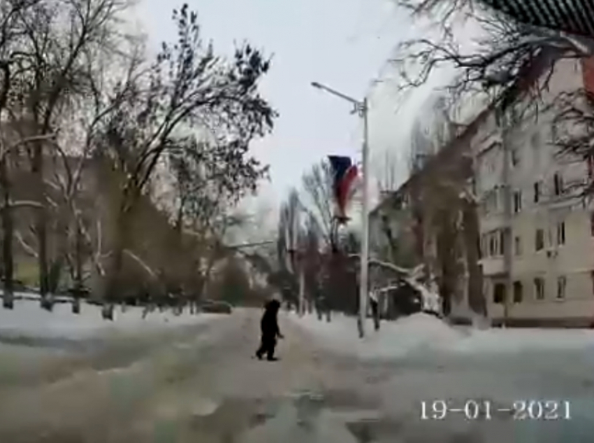 Пенсионерка создала аварийную ситуацию, выйдя на дорогу в неположенном месте на Ленина