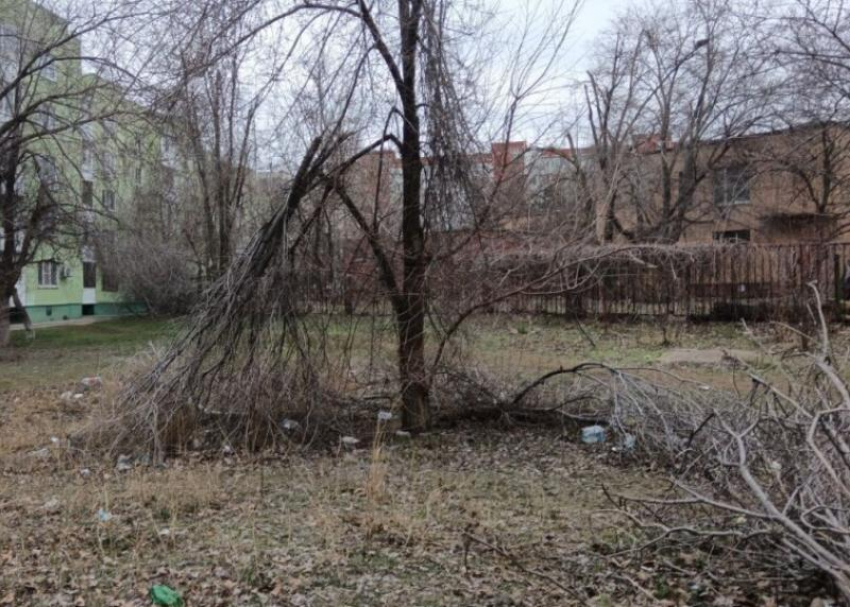 Циклон «Ольга» наломал дров, но не сломил Волгодонск: с территорий города ликвидировано 31,5 тысячи кубометров порубочных остатков