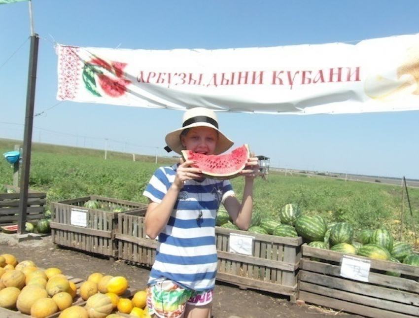 Бахчевод Алимов познал суть арбузов и дынь