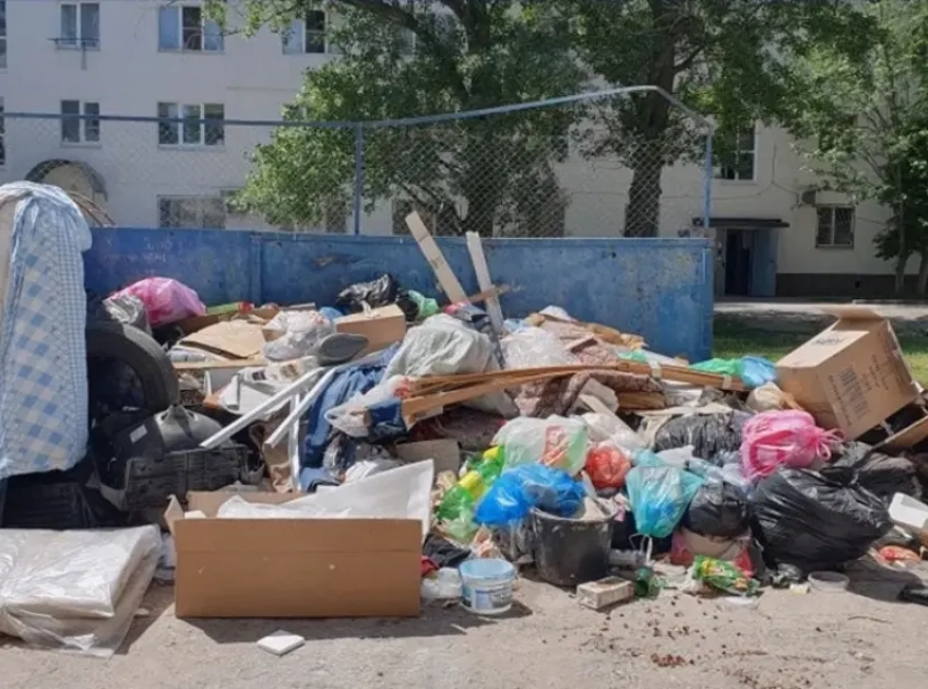 Почему в Волгодонске образуются свалки и как это остановить?