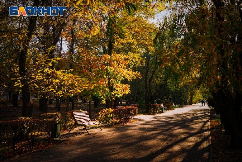 В парке Победы в Волгодонске усилили мобильный интернет