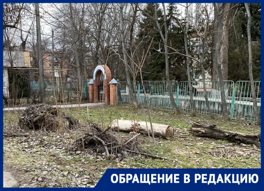 «Что за Бермудский треугольник?!»: Волгодонцы потребовали убрать горы веток рядом с «поликлиникой АЭС»