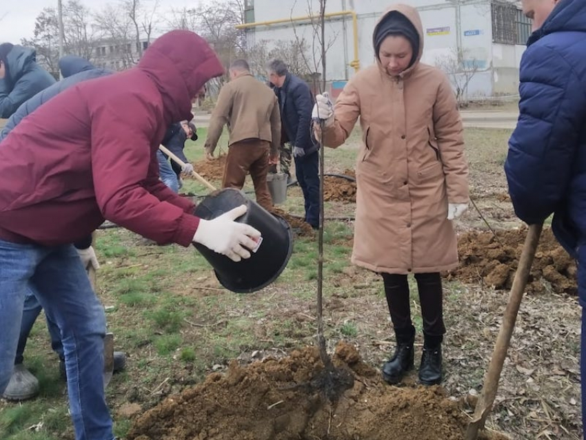 Регоператор «ЭкоЦентр» помогает в озеленении Волгодонска
