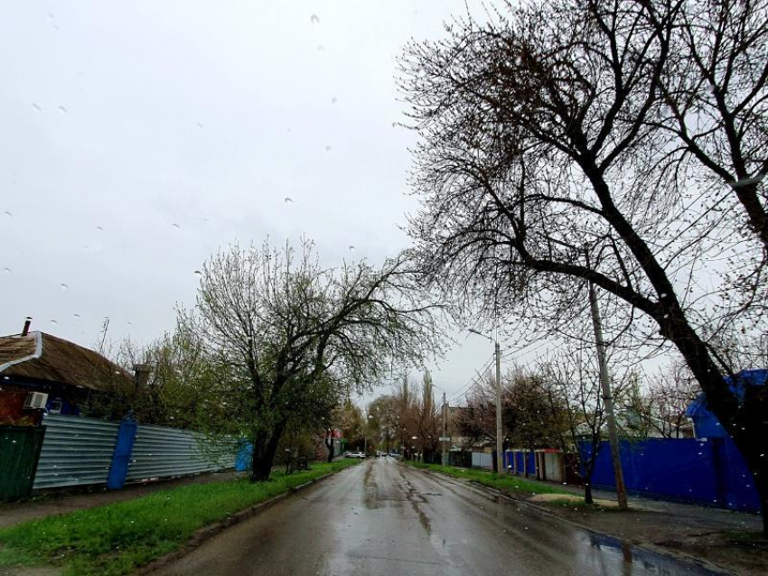 Холодным и дождливым будет последний день апреля в Волгодонске 