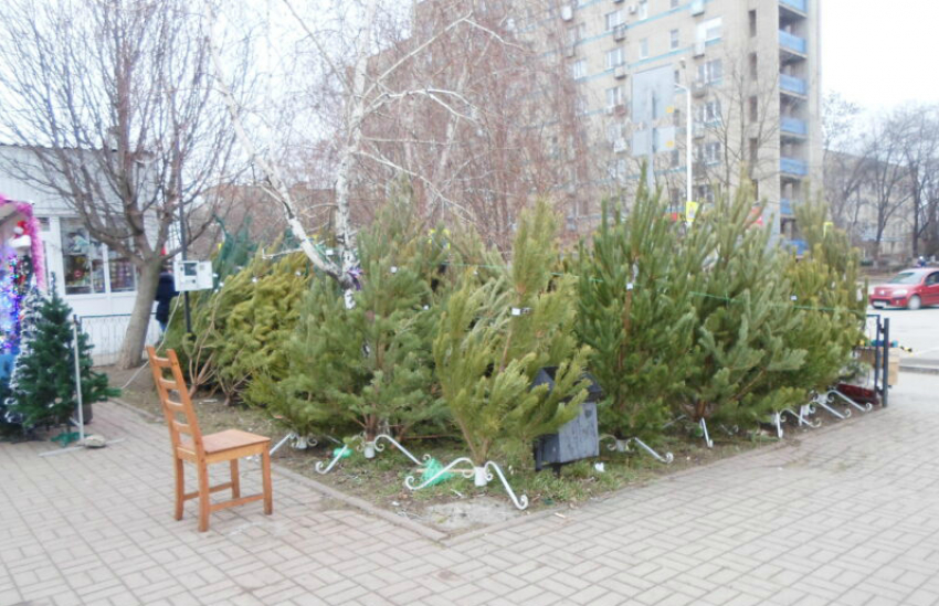 Два десятка нарушений было выявлено в Волгодонске во время подготовки к новогодним праздникам 