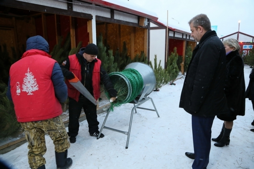 Схему размещения елочных базаров в Волгодонске поменяют