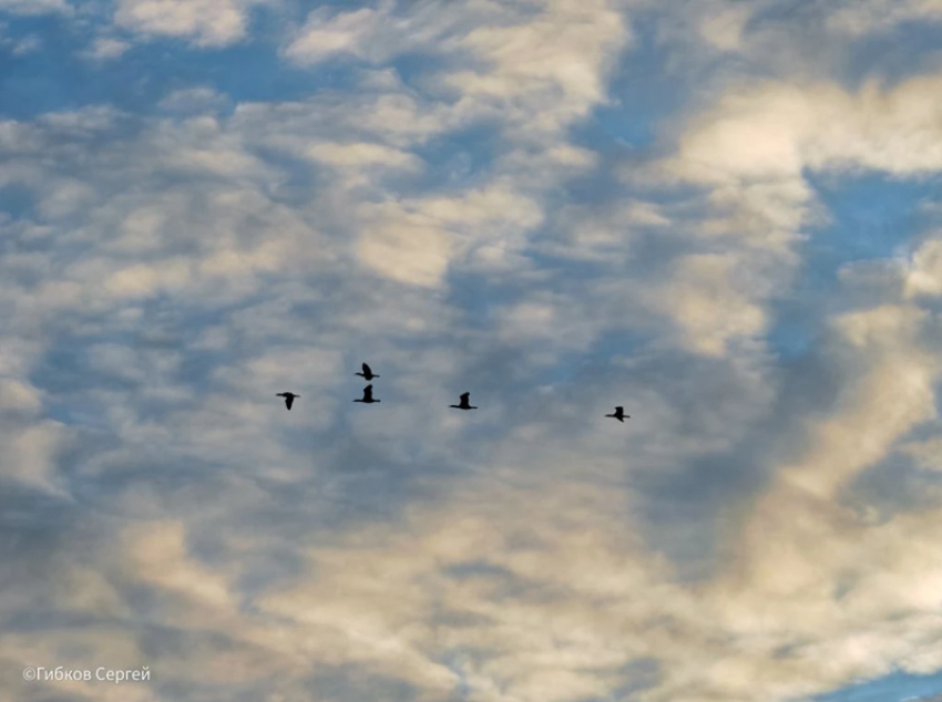 Антициклон принес в Волгодонск ясную погоду