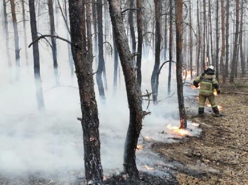Спасатели из Волгодонска экстренно отправились на тушение лесных пожаров на севере области